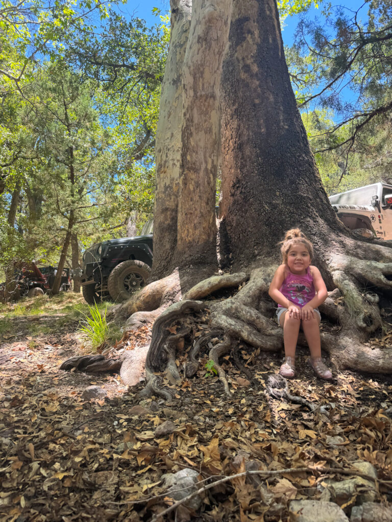 Analog Afternoons: The Screen-Free Tucson Survival Guide