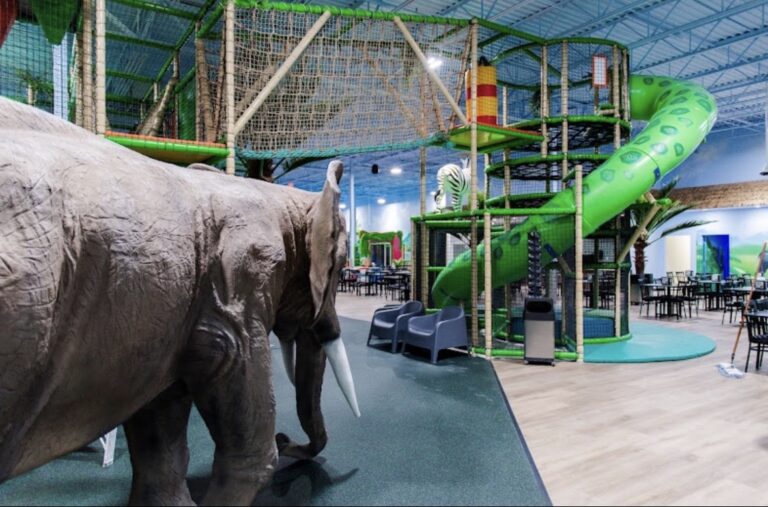 Lava Island Tucson: A Local Guide to This High-Energy Indoor Playground