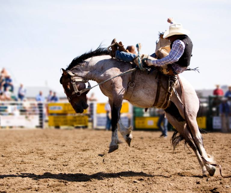 This Weekend in Tucson: Rodeo Kickoff, Gem Show Finds & 10 Family-Friendly Events (Feb 20–22)